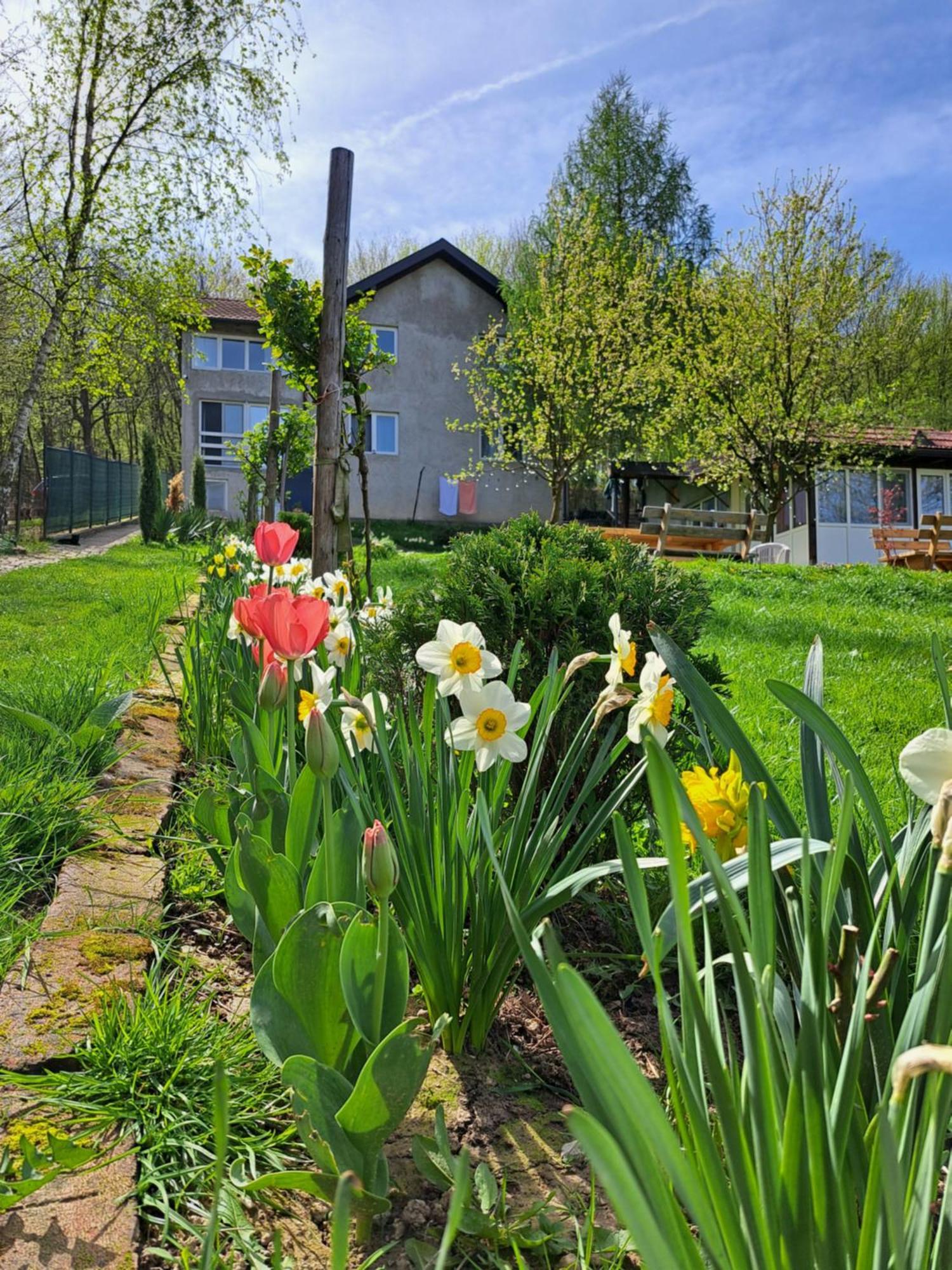 Mala Farma Nani Vila Visoko Exterior foto